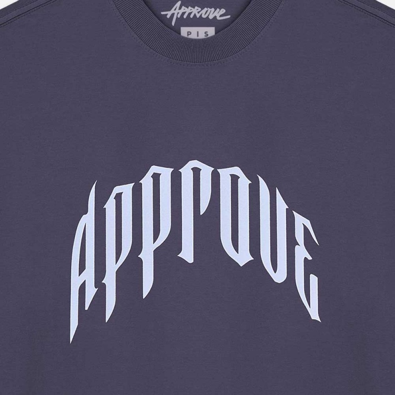 Camiseta Approve Beyond Lines Oversized Cinza