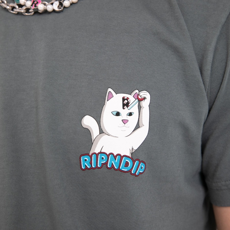 Camiseta Ripndip Control Your Mind Cinza