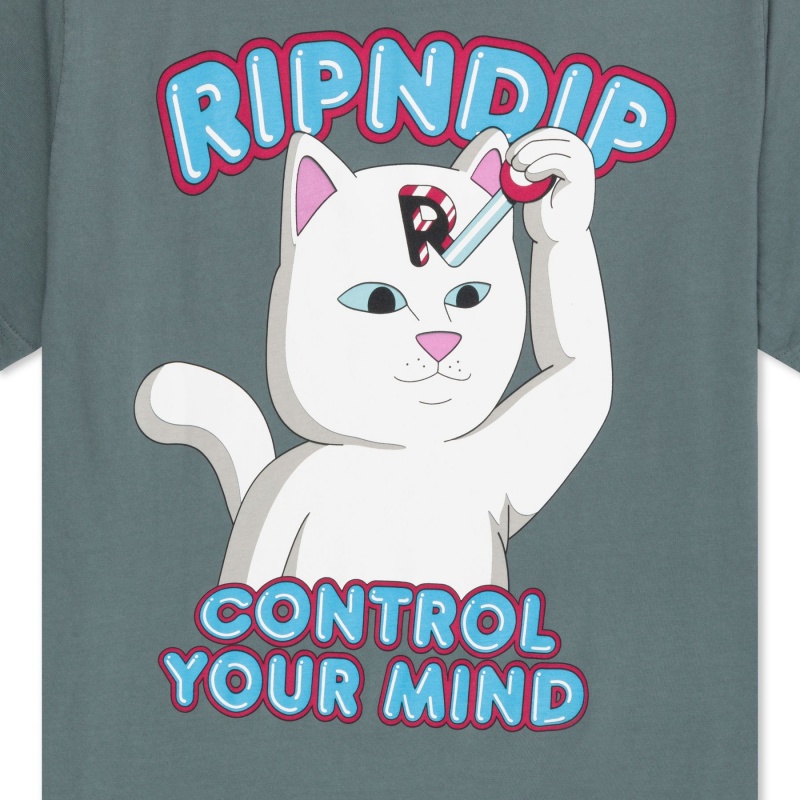 Camiseta Ripndip Control Your Mind Cinza