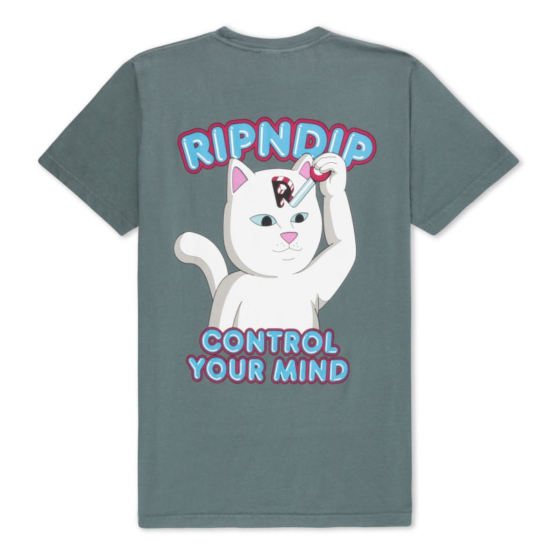 Camiseta Ripndip Control Your Mind Cinza