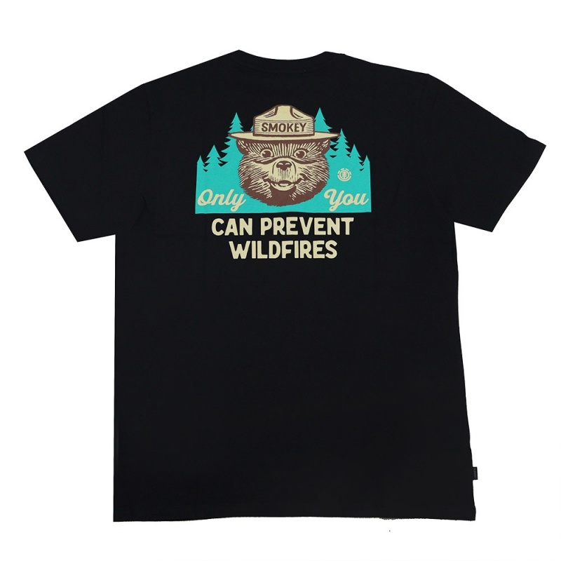 Camiseta Element Wildfires Preto