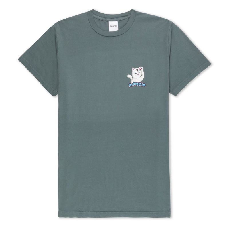 Camiseta Ripndip Control Your Mind Cinza